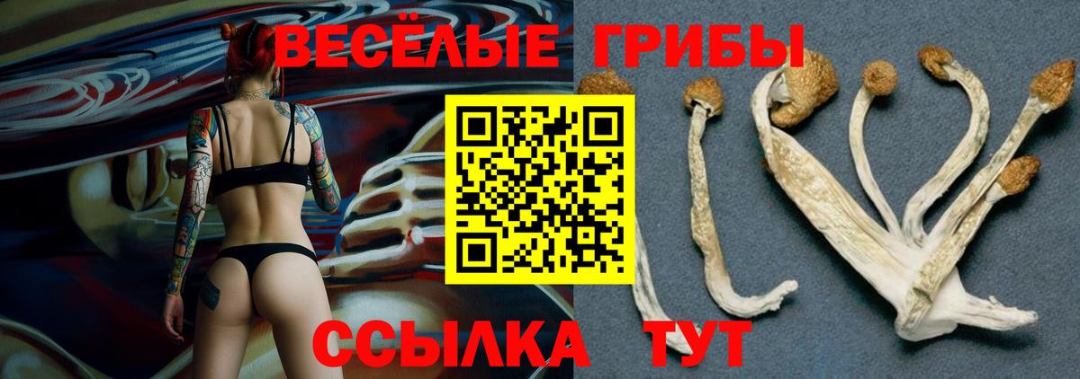 Галлюциногенные грибы MAGIC MUSHROOMS Дальнегорск